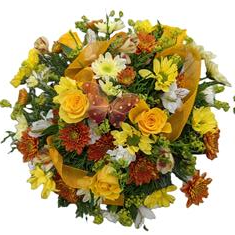 Florist Choice Posy Arrangement